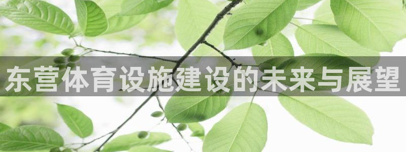 意昂4代理:东营体育设施建设的未来与展望