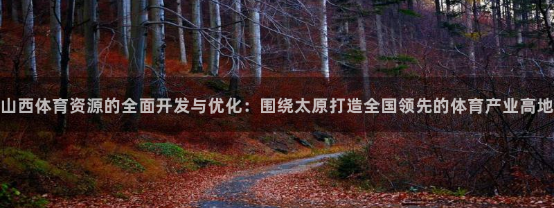 意昂体育4招商电话地址是多少:山西体育资源的全面开发与优化: